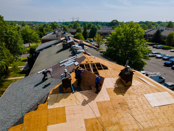Best Roof Maintenance Services  in Llington, MI