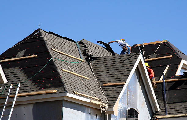 Best Metal Roofing Contractor  in Llington, MI