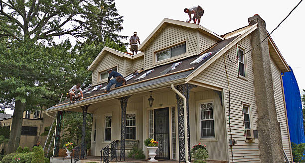 Best Local Roofing Companies  in Llington, MI