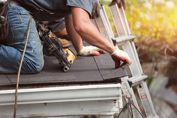 Best Flat Roof Repair Services  in Llington, MI