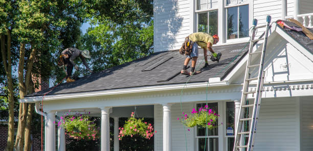 Best Roof Restoration Services  in Llington, MI