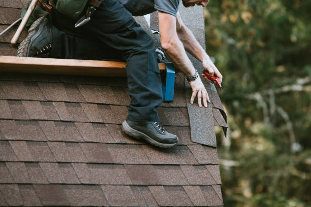 Best Roof Gutter Cleaning  in Llington, MI