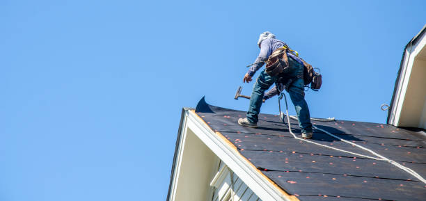 Best Local Roofing Companies  in Llington, MI